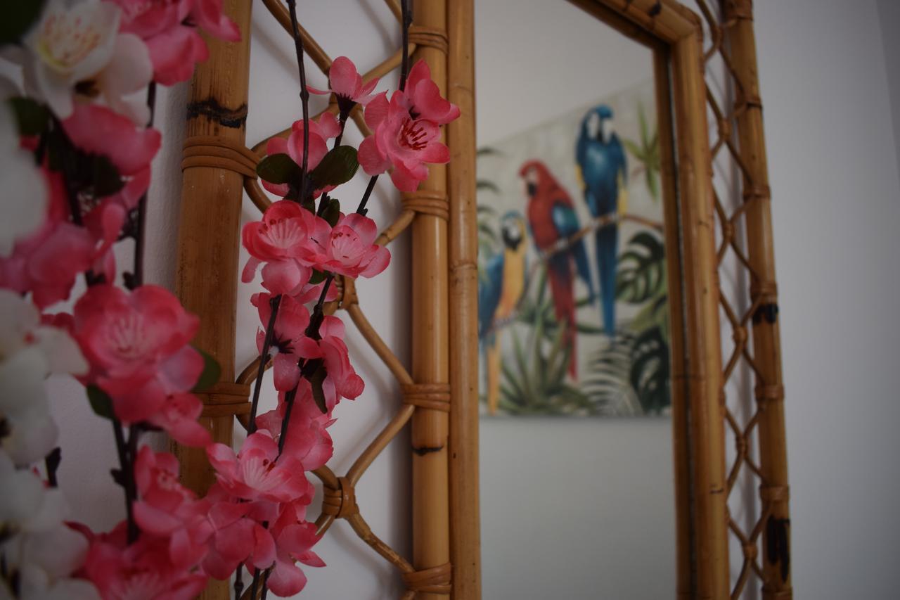 Casa Cinzia Bed & Breakfast Las Palmas de Gran Canaria Luaran gambar